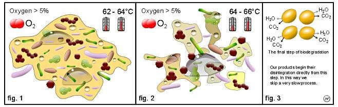 Bio assimilation and mineralisation. In our case, degradation begins as soon as the product is placed in the soil.