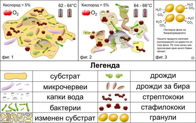 Биоасимилация и минерализация. В нашия случай деградацията започва когато продуктът е поставен в почвата.
